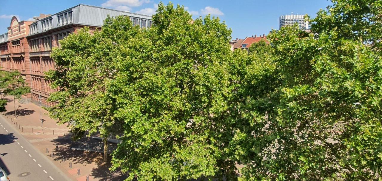 Gemuetliches Privatzimmer In Mannheims Stadtmitte 외부 사진